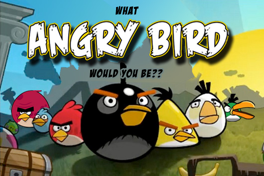 Angry Bird Angry Bird