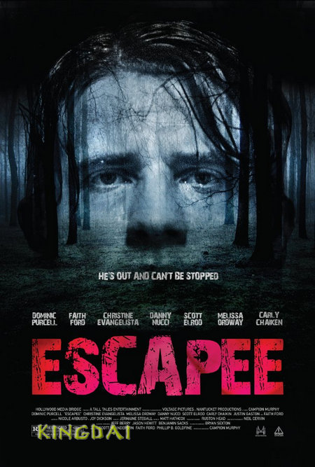 Escapee (2011) DVDRip 345MB Med...