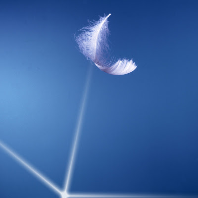 White feather comforts the bereaved