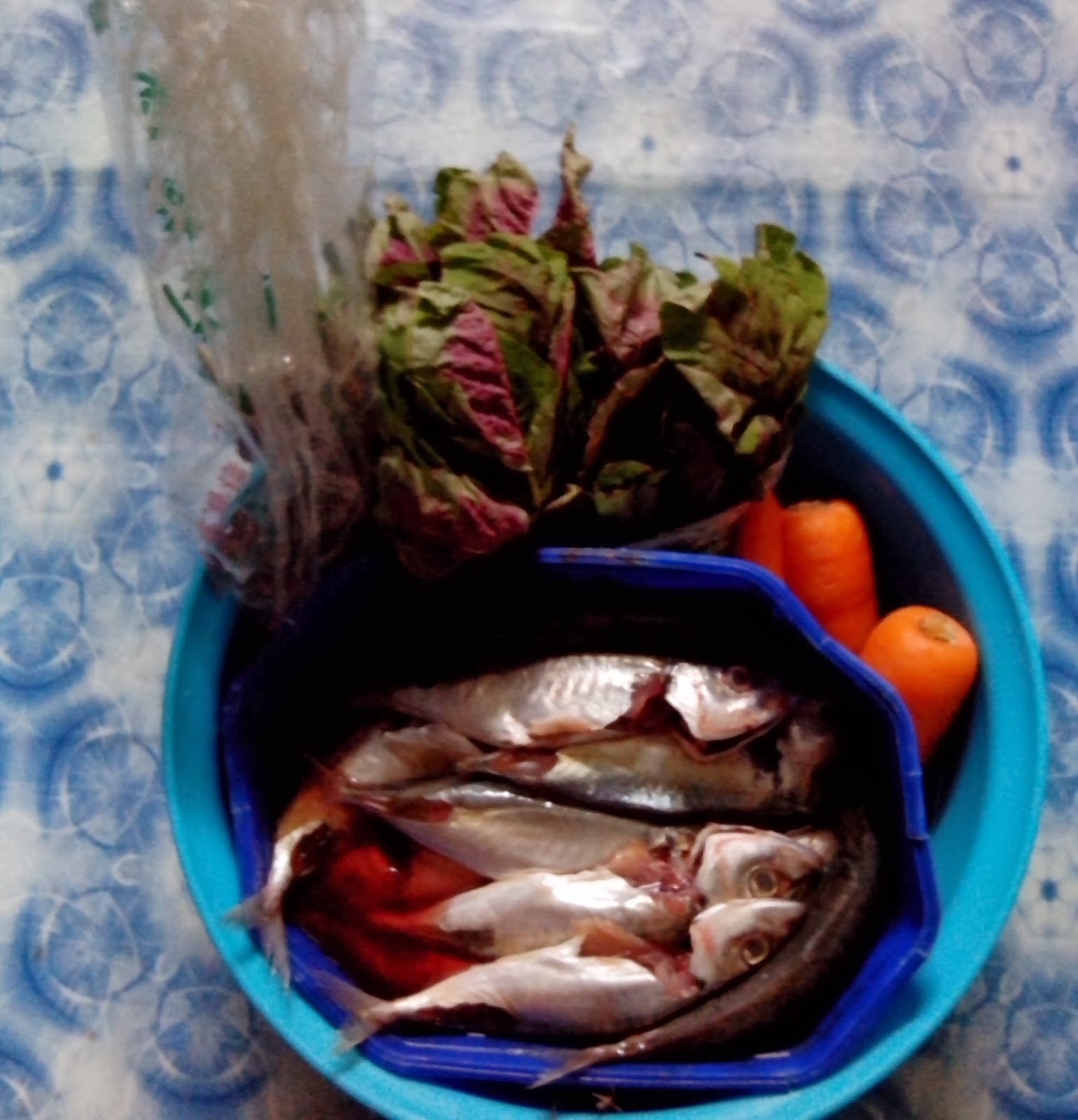 Homemade wet cat food My CoRneR