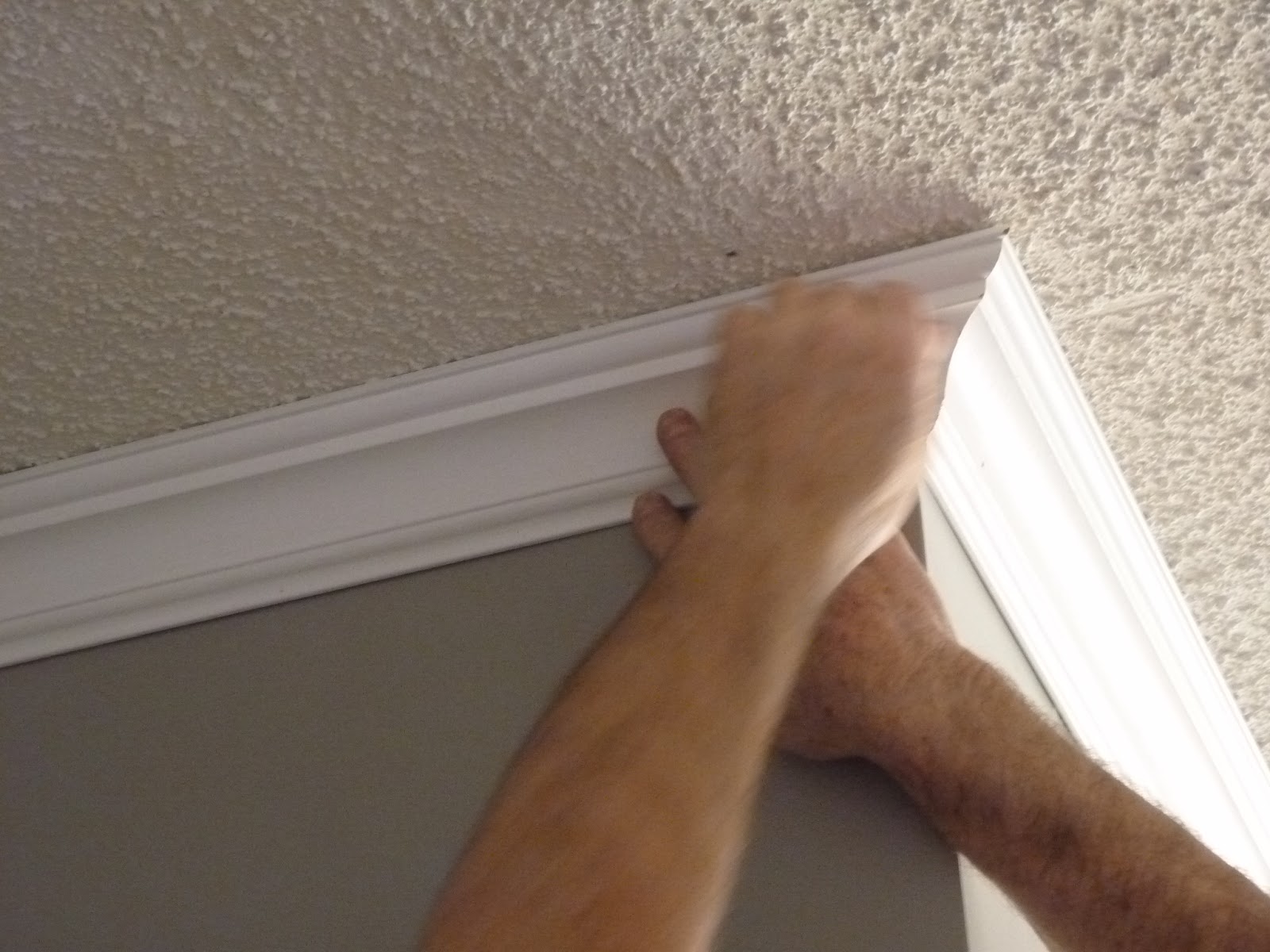 Cost Of Installing Molding at Donna Shields blog