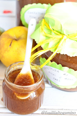 marmellata di fichi e mele e blog in vacanza