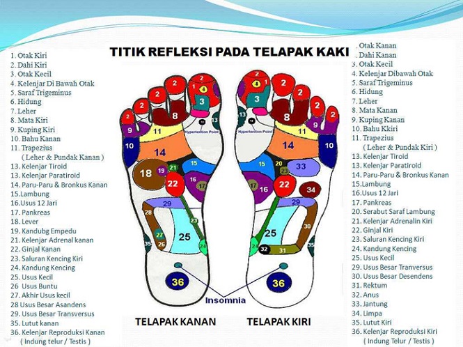 Manfaat dan Fungsi Titik Refleksi Telapak Kaki ...