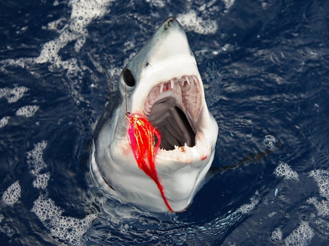 The Great American Disconnect-Political Comments: Is This The Largest