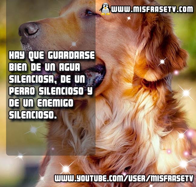 Frases de Amistad, Frases de Amistad para Etiquetar en Facebook, Frases para el Día de la Amistad, Frases de Amistad, Frases de Amistad para Etiquetar en Facebook, Frases para el Día de la Amistad,