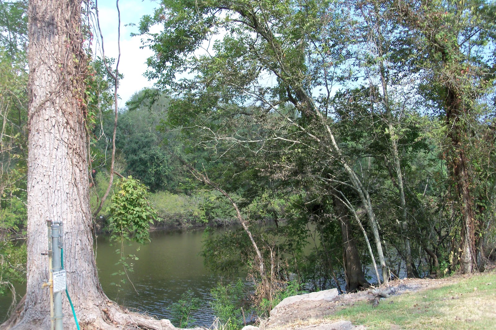 Traveling with the Longdogs A Visit to Butte LaRose, Louisiana