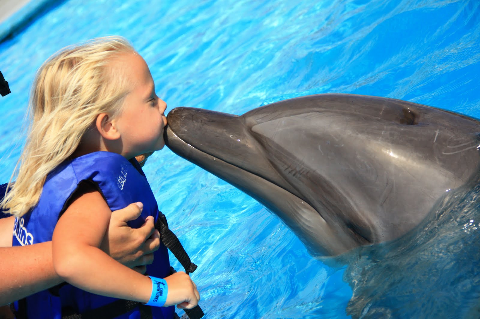 The Gidley Girls Swimming with Dolphins