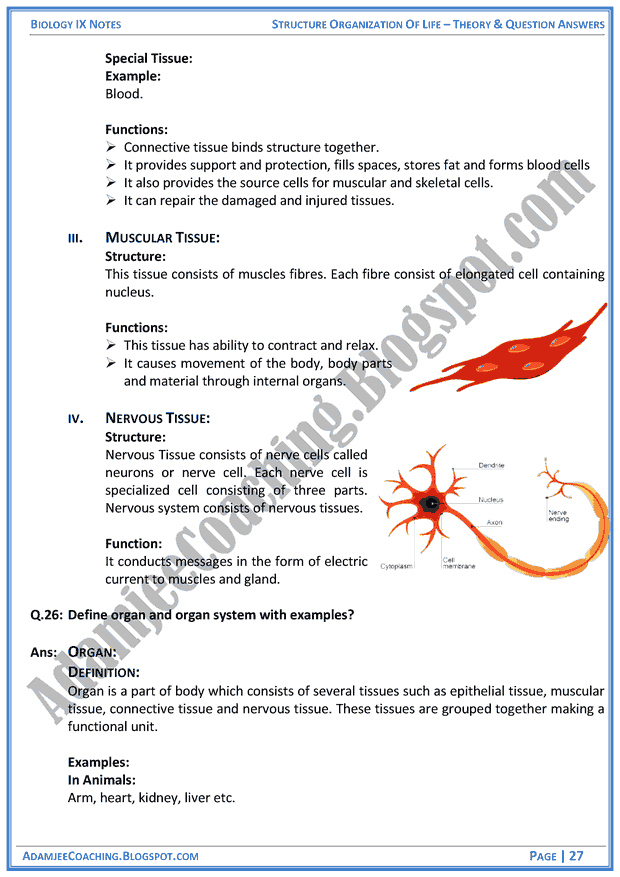 structural-organization-of-life-theory-notes-and-question-answers-biology-notes-for-class-9th