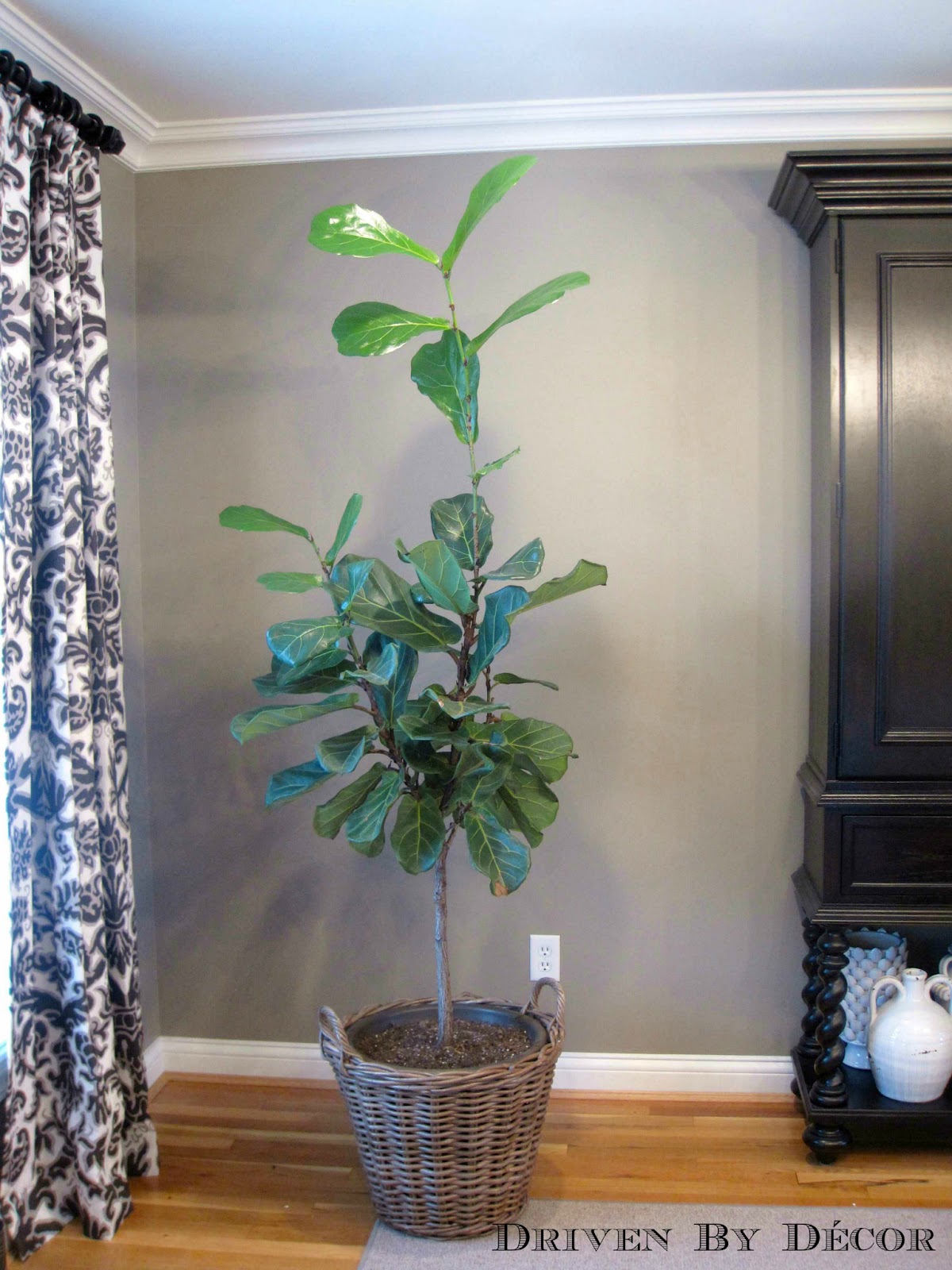 IKEA's New Indoor Plants Driven by Decor