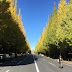 秋天就來去東京神宮外苑漫步在銀杏並木下