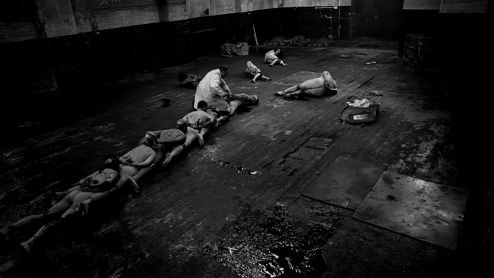 human centipede sequel