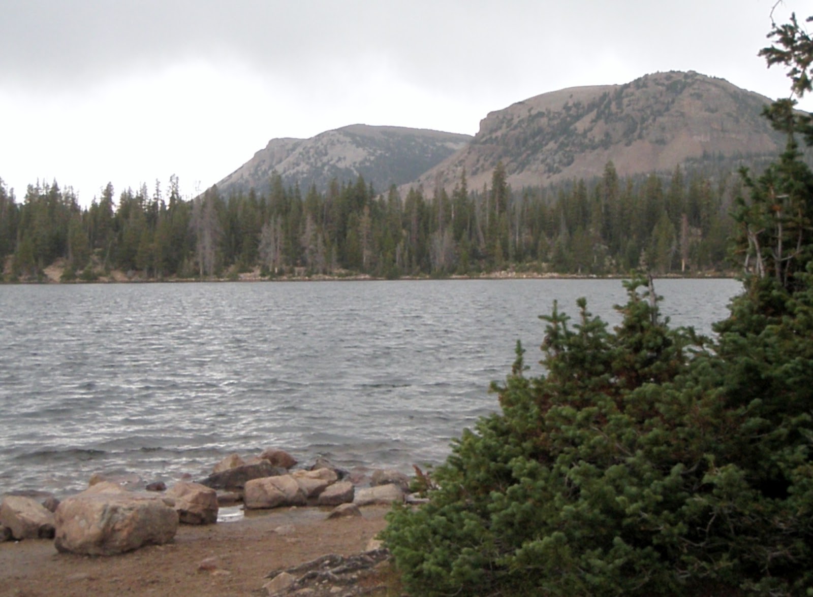 Cabin & Cottage At Mirror Lake