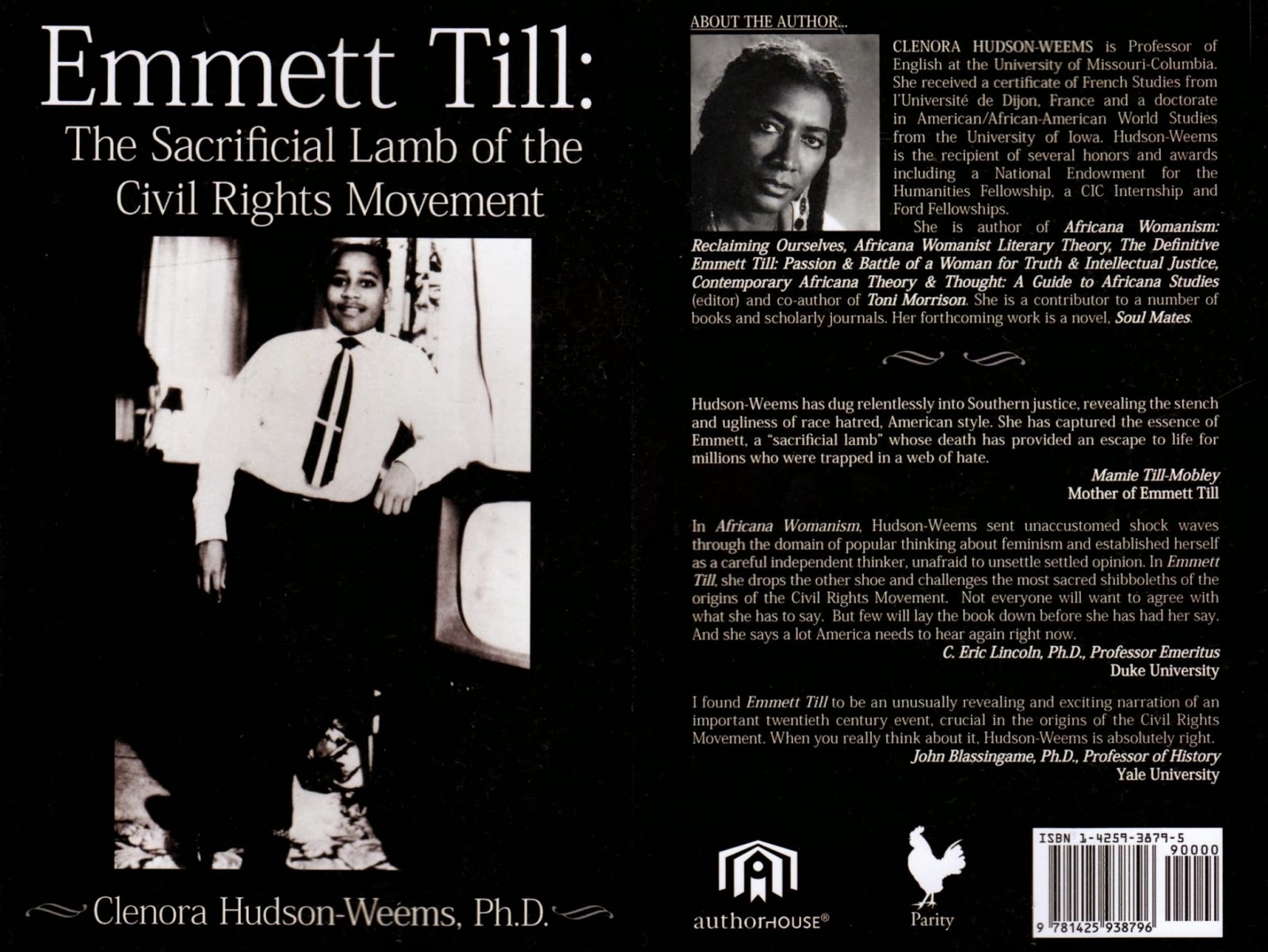 emmett till and song of solomon essay emmett till and song of solomon essay