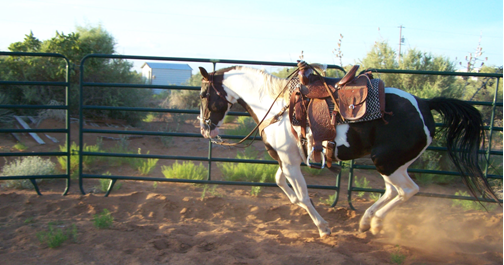 hopping horse