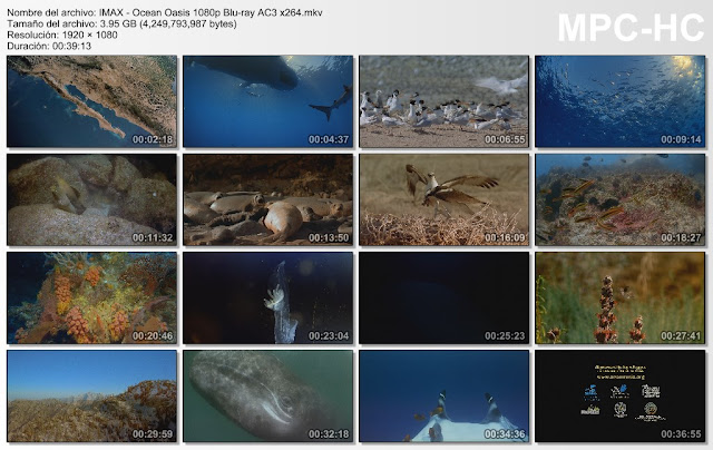 |IMAX|26GB|7 Documentales|FullHD 1080p|Sub|MEGA| |IMAX|26GB|7 Documentales|FullHD 1080p|Sub|MEGA|