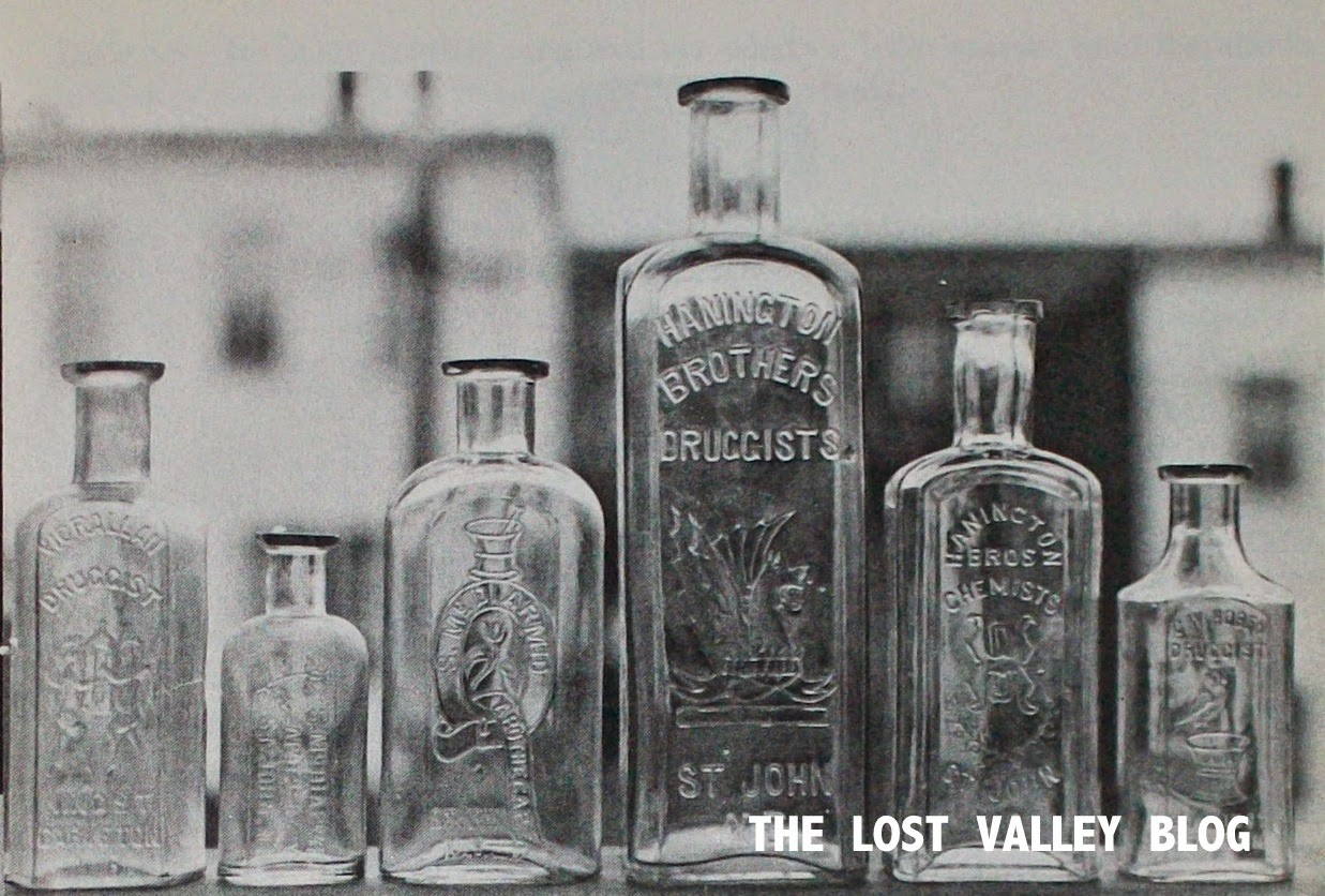 The Lost Valley An History of Saint John, N.B. Saint John