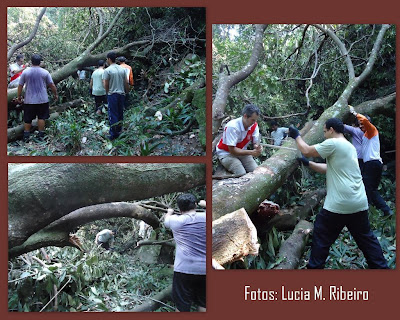 Manutenção de Trilhas Voluntariado