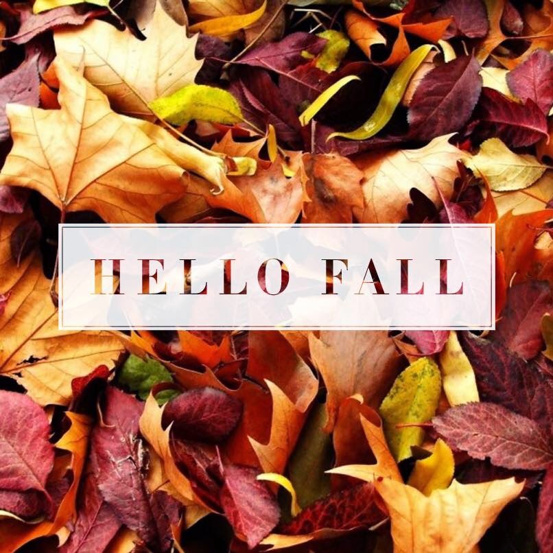 Fifth N Sixth S Closet Basic Fall Essentials