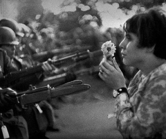 Hippie War