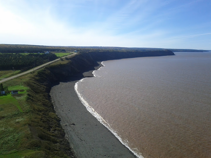 Over The Cliff Without A Lemming? - The Greening of Gavin