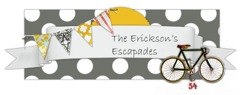 The Erickson's Escapades
