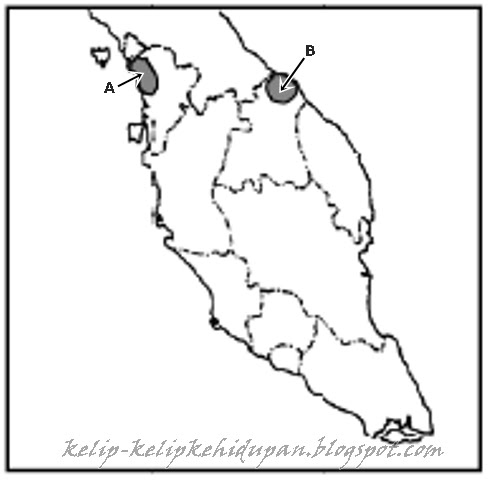 Ha t3 1 sistem perdagangan
