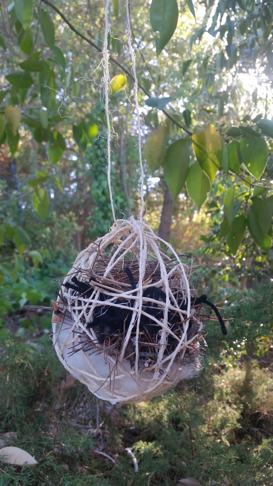 A Little Loopy, But I'm Hooked Bird nesting material ball