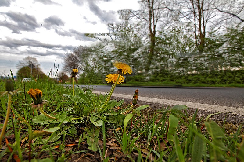Willkommen In Renates Eckchen