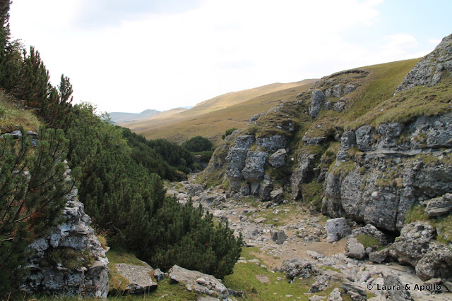 Muntii Bucegi