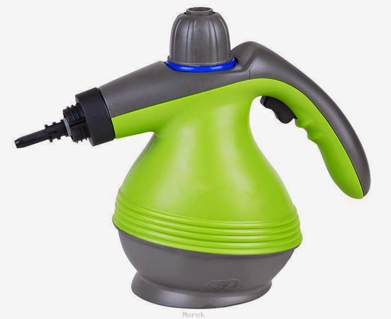 Morck Cleaning How to Kill Bed Bugs With Steam cleaner?