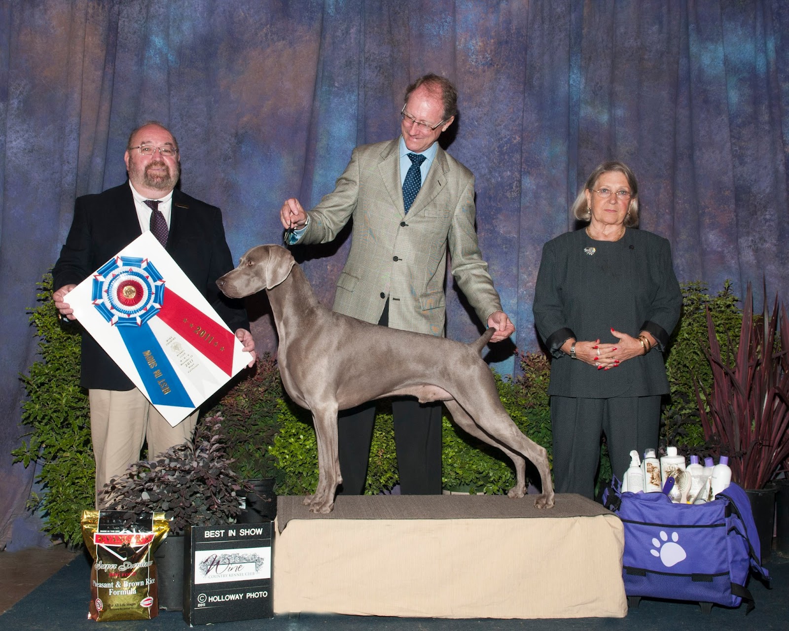 Pharaoh Hound Silhouette