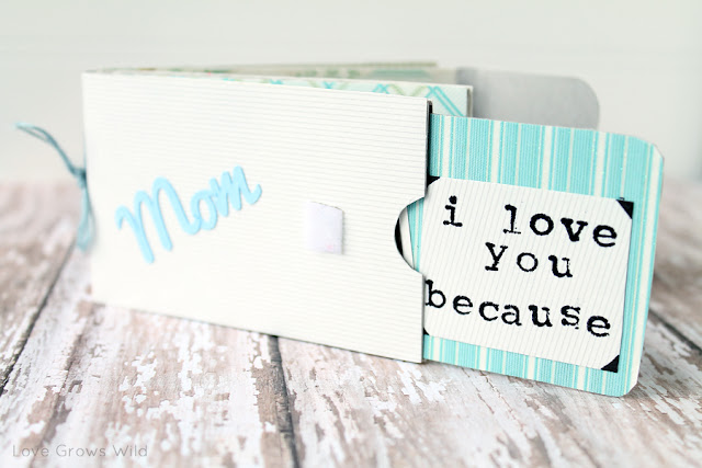 Mother's Day I Love You Because Mini Album Gift