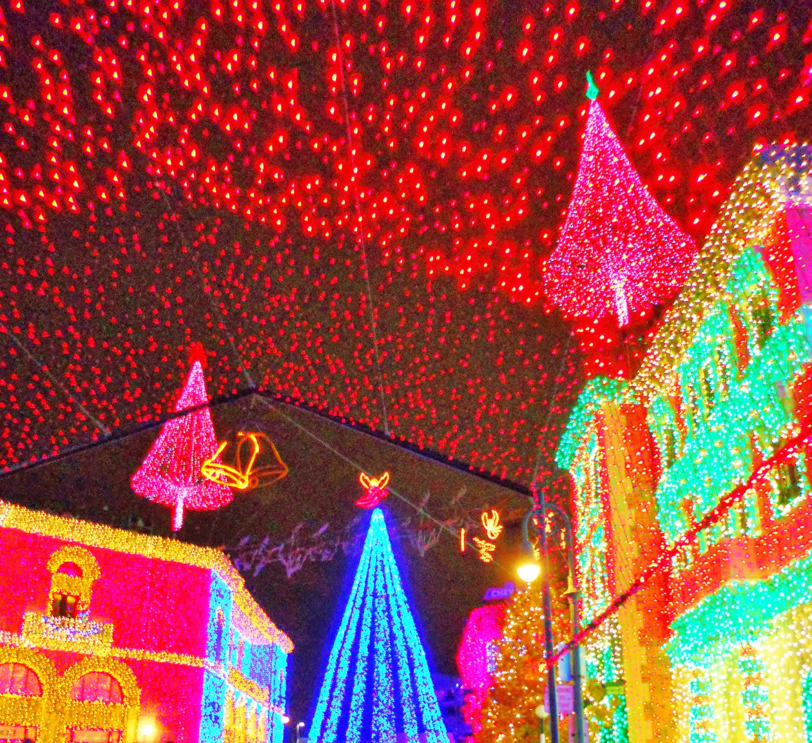 The Osborne Family Spectacle of Dancing Lights A Disney Christmas