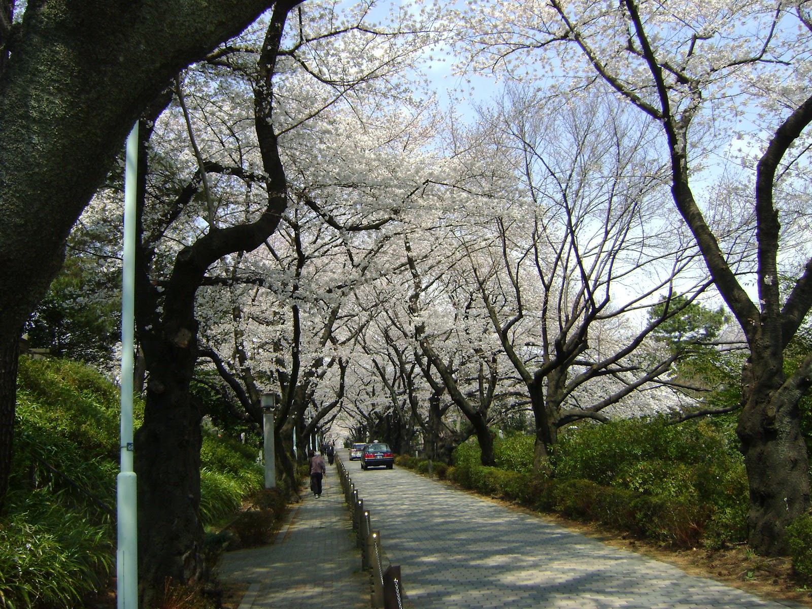 Japan Letsgo Hachiko's Grave