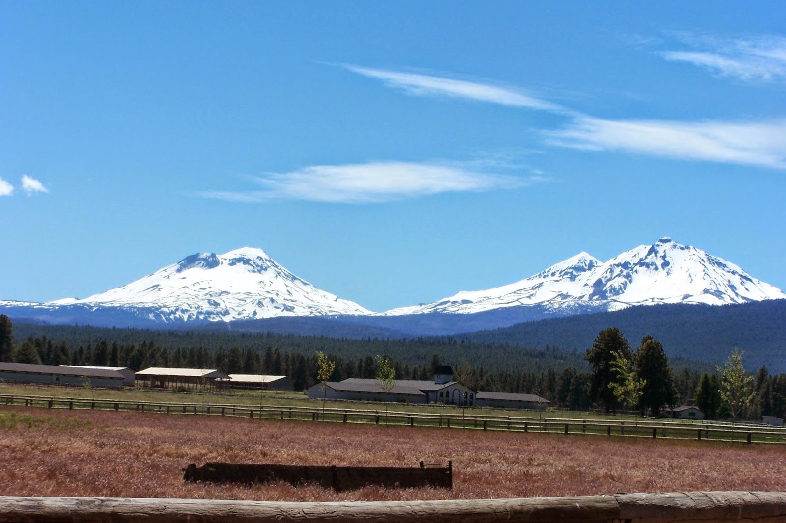 Oregon Cactus Blog Snowcapped Peaks of the Oregon Cascades