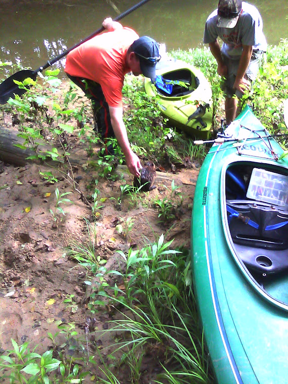 Tad Petting Beaver on Little Scioto River