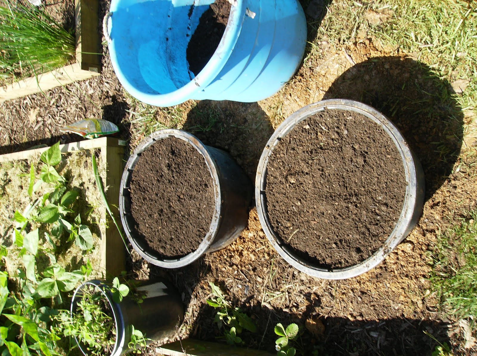 How to Build a Sunken Vegetable Container Garden In Pictures The