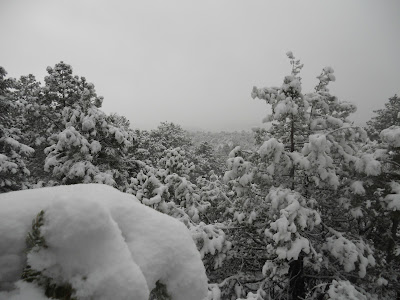 santa fe foothills winter