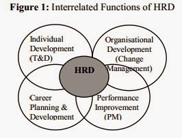 The Function Of Human Resource Development