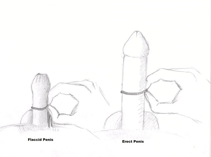 black penis girth Black penis girth