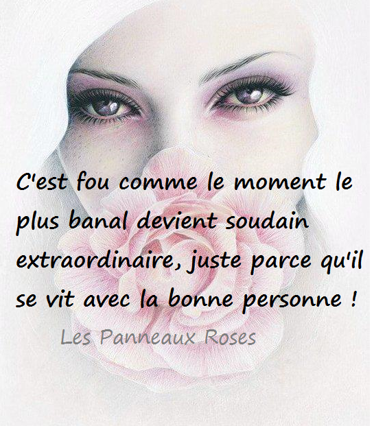 LES PANNEAUX ROSES de JOSETTE SAUTHIER Citation sur l