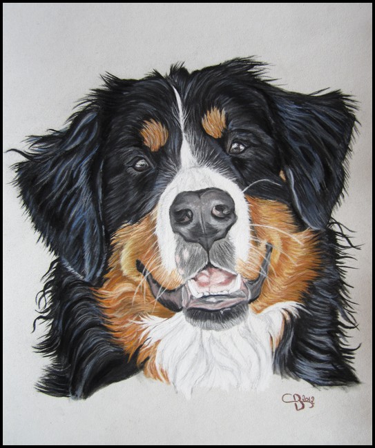 Dessins et tableaux animaliers IMG_1132