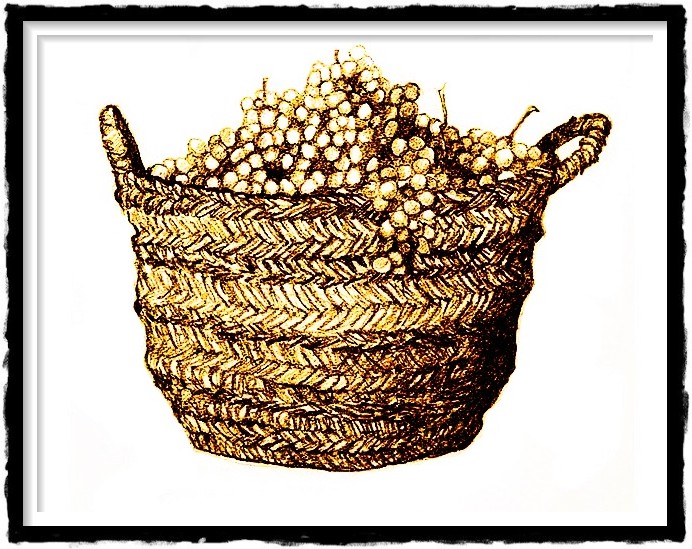 site de rencontre mauricien en france