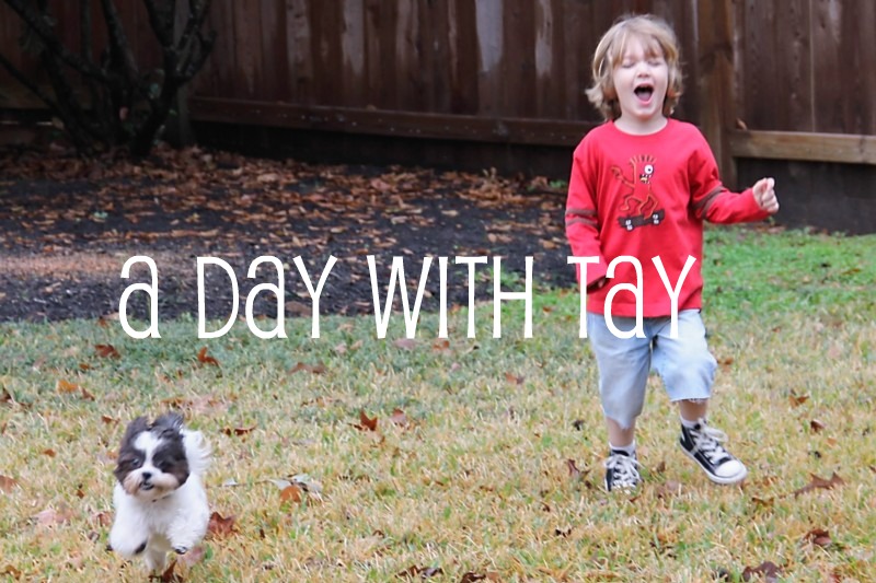 A Day With Tay