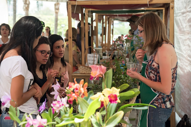 Mercadinho de Brasília com Teatro e Feirinha Sustentável