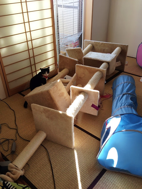 キャットタワー