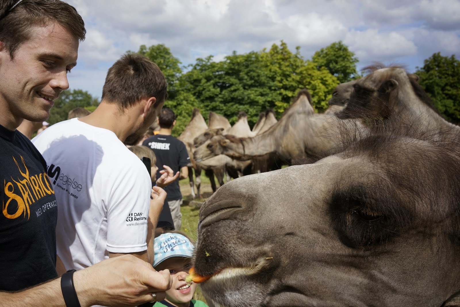 Richard Bjerkoe - Robust Dad - Feeding a camel