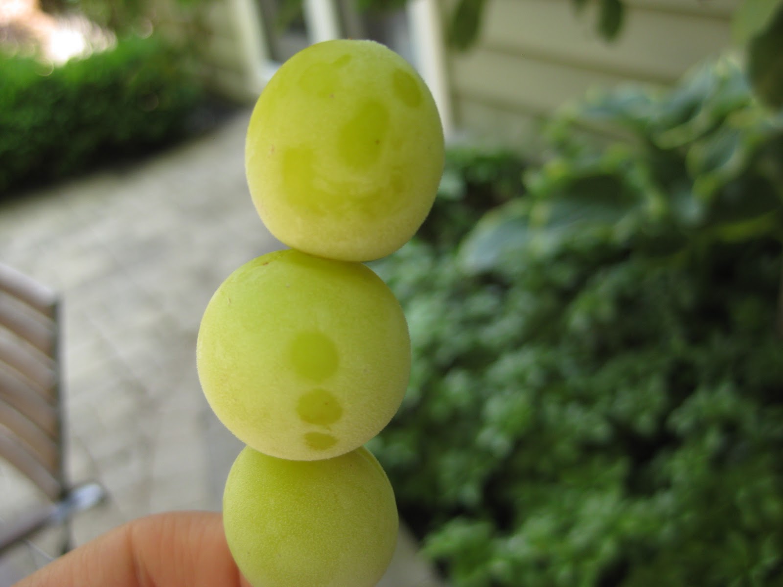 Sweet Peas and Pumpkins Frozen Grape Snowmen