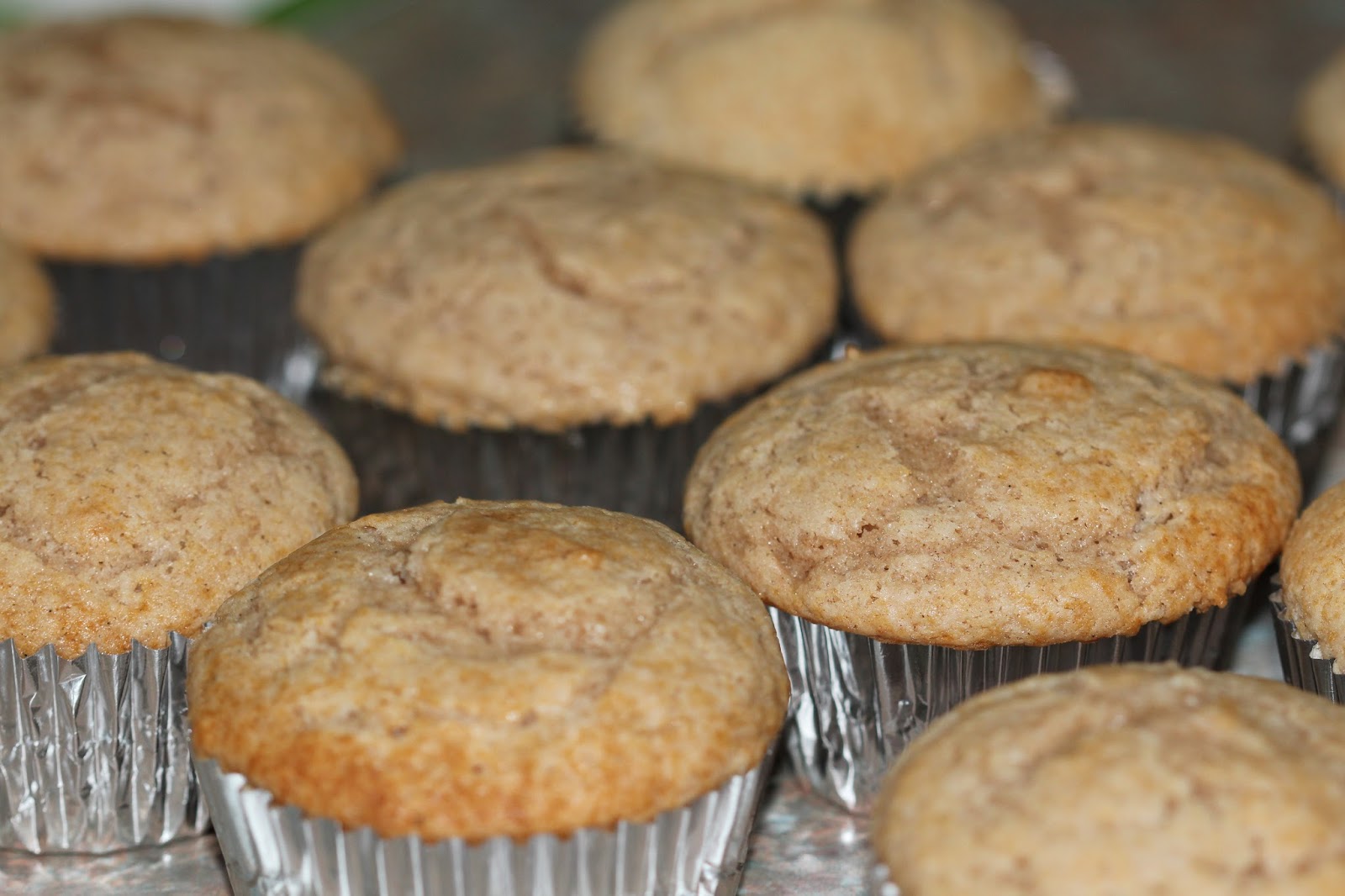 High Altitude Cupcakes Snickerdoodle Cupcakes