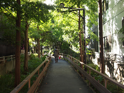 新宿遊歩道公園四季の道